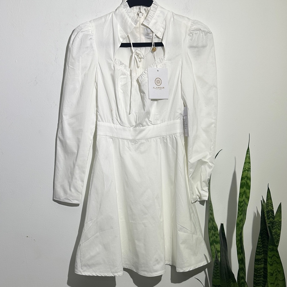 Chic Long Sleeve White Dress